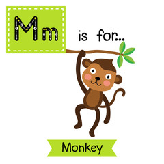 M letter tracing. Monkey. Cute children zoo alphabet flash card. Funny cartoon animal. Kids abc education. Learning English vocabulary. Vector illustration.