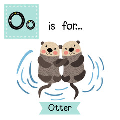 O letter tracing. Otter couple holding hands. Cute children zoo alphabet flash card. Funny cartoon animal. Kids abc education. Learning English vocabulary. Vector illustration.