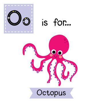 O letter tracing. Magenta Octopus. Cute children zoo alphabet flash card. Funny cartoon animal. Kids abc education. Learning English vocabulary. Vector illustration.