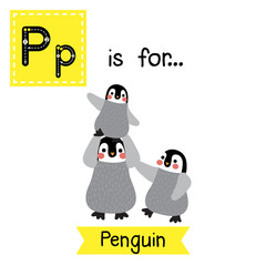 P letter tracing. Penguin family. Cute children zoo alphabet flash card. Funny cartoon animal. Kids abc education. Learning English vocabulary. Vector illustration.