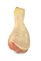 chicken leg, shin, on white
