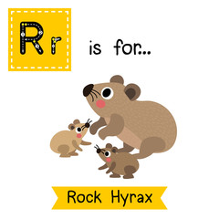 R letter tracing. Rock Hyrax family side view. Cute children zoo alphabet flash card. Funny cartoon animal. Kids abc education. Learning English vocabulary. Vector illustration.