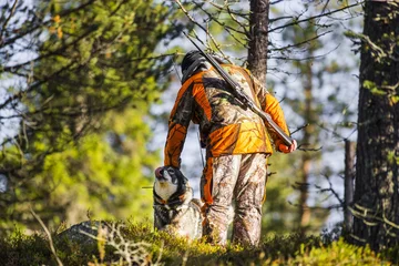 Poster Swedish Moosehound in the fall hunting season © RobertNyholm