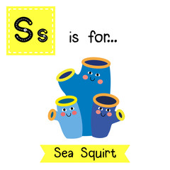 S letter tracing. Sea Squirt. Cute children zoo alphabet flash card. Funny cartoon animal. Kids abc education. Learning English vocabulary. Vector illustration.