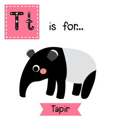 T letter tracing. Standing Tapir. Cute children zoo alphabet flash card. Funny cartoon animal. Kids abc education. Learning English vocabulary. Vector illustration.