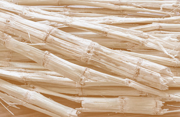 Sugarcane bagasse - the waste of sugar manufacture