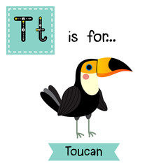 T letter tracing. Standing Toucan bird. Cute children zoo alphabet flash card. Funny cartoon animal. Kids abc education. Learning English vocabulary. Vector illustration.