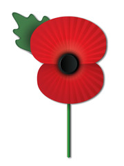 Obraz premium Remembrance Poppy