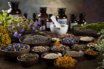 Herbs, berries and flowers with mortar, on wooden table backgrou