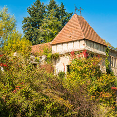 Fototapeta premium Old abandoned castle in Vinica arboretom near Varazdin, Croatia 