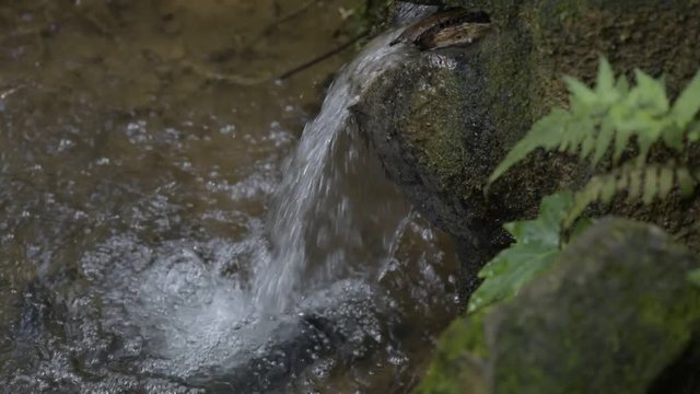 SAO PAULO, SP, BRAZIL - FEBRUARY 6, 2016 - Natural pure water from the forest that feed the cities reservoirs