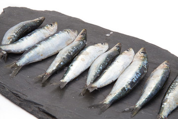 Sardines