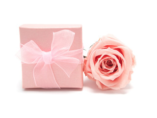 Pink rose with gift box on white background