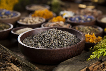 Fresh medicinal, healing herbs on wooden