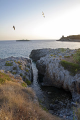 Picturesque coastline