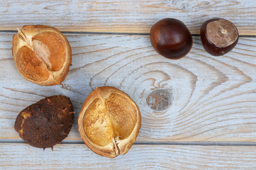 Close up of chest nuts on a wooden background with empty copy space
