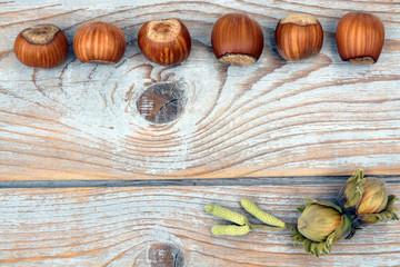 frame row of hazel chest nuts on a wooden empty copy space background
