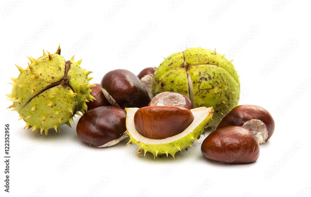 Sticker fruit chestnut