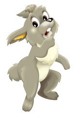 Cartoon rabbit - isolated - illustration for children