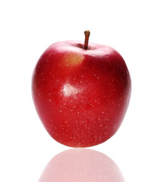 red apple isolated on white background, jonathan