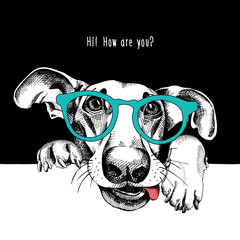 Portrait of a funny dog in glasses. Vector illustration. - obrazy, fototapety, plakaty
