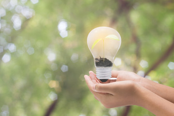 Light bulb in woman hand,Realistic photo image. Turn on tungsten