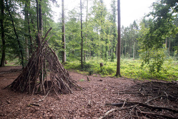 Wooded tipi made from branches in Forest