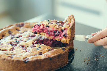 Wild berry homemade pie slice