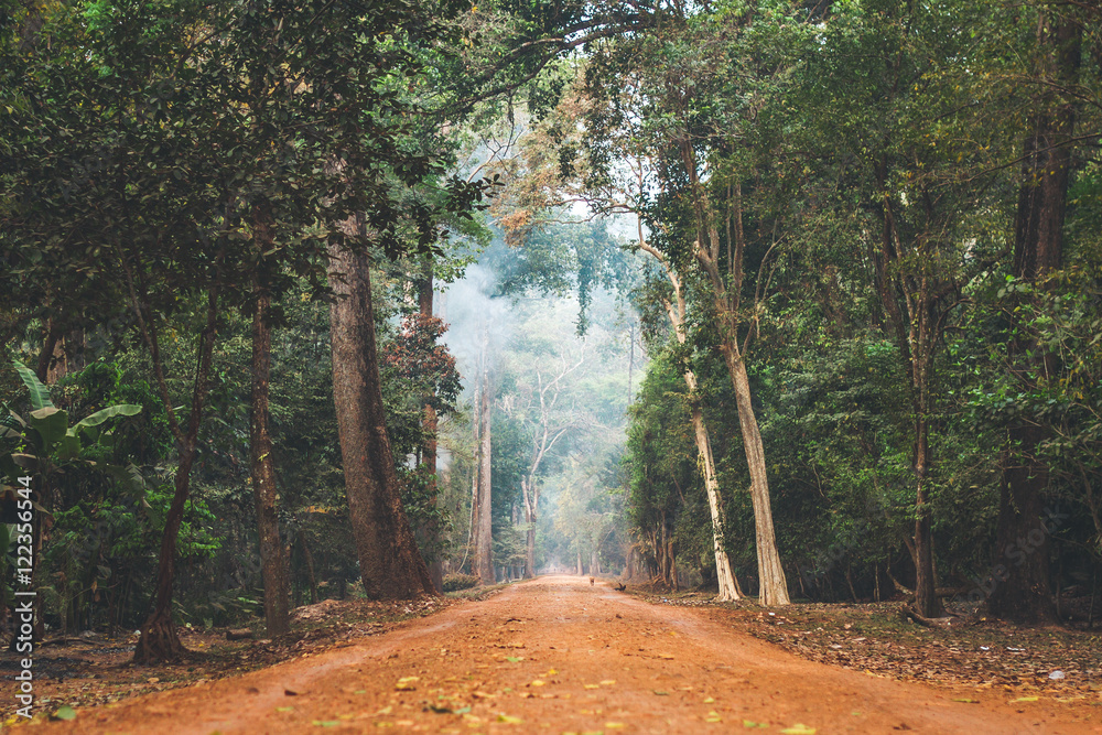 Wall mural dirt road stretching through cambodian jungle.