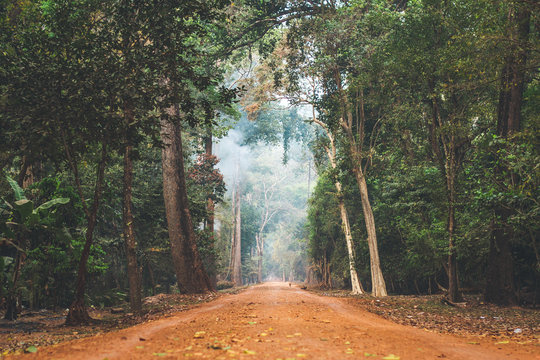 Fototapeta Dirt road stretching through Cambodian jungle.
