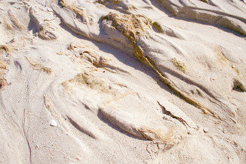 Sand dunes on the beach