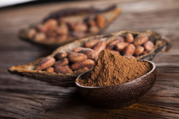 Cacao beans and powder and food dessert background