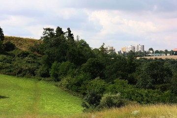 Fototapeta na wymiar Urban nature reserve with a panel housing estate in the background