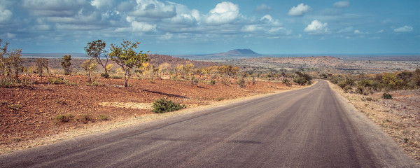 The landscape of Kruger National Park in South Africa
