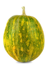 Pumpkin green colors on white background