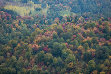 Obraz premium Autumn at Churet, Mazandaran, Iran