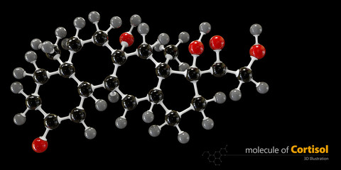 Illustration of Cortisol Molecule isolated black background