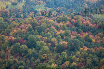 Obraz premium Autumn at Churet, Mazandaran, Iran