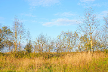 Early autumn landscape.