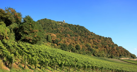 Fototapeta na wymiar Drachenfels im Rheintal