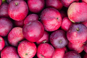 bunch of red apples background texture