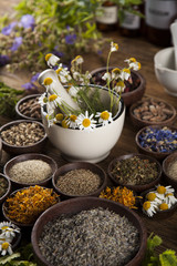 Obraz na płótnie Canvas Natural medicine, herbs, mortar on wooden table background