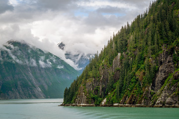 Mountain Side near Tracy Arm