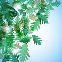 Illustration autumn motif. Oak leaves. Vector background