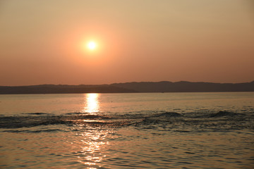 tramonto persone al tramonto guardare il tramonto cigno al tramonto mare lago estate spettacolo natura sole, 