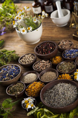 Alternative medicine, dried herbs and mortar on wooden desk back