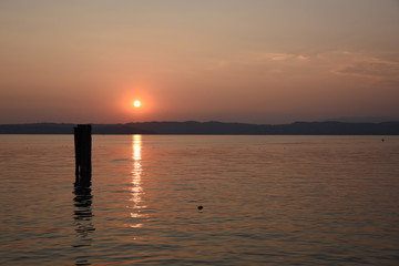 Obraz premium tramonto persone al tramonto guardare il tramonto cigno al tramonto mare lago estate spettacolo natura sole, 