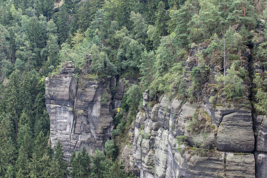 Felsklippe am Frienstein, Nationalpark S&auml;chsische Schweiz