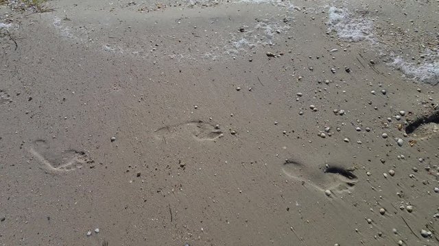 Women human footprints on a sandy beach, the sound of waves