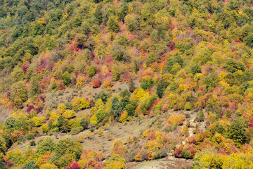 Fototapeta premium Autumn at Churet, Mazandaran, Iran